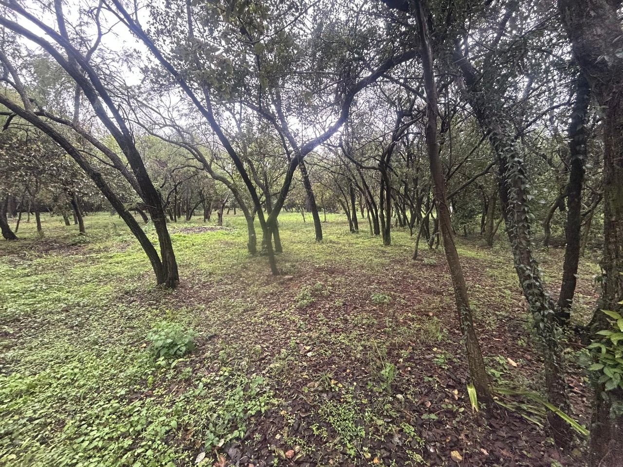 Photo 9 of 12