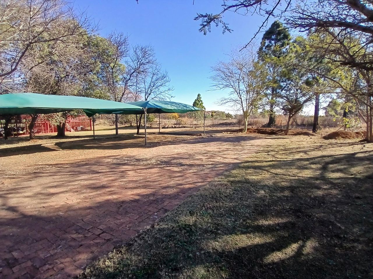 Photo 10 of 13