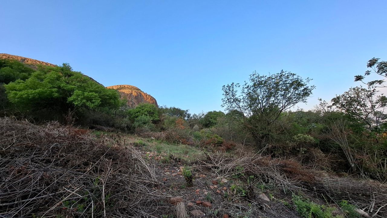 Photo 6 of 12