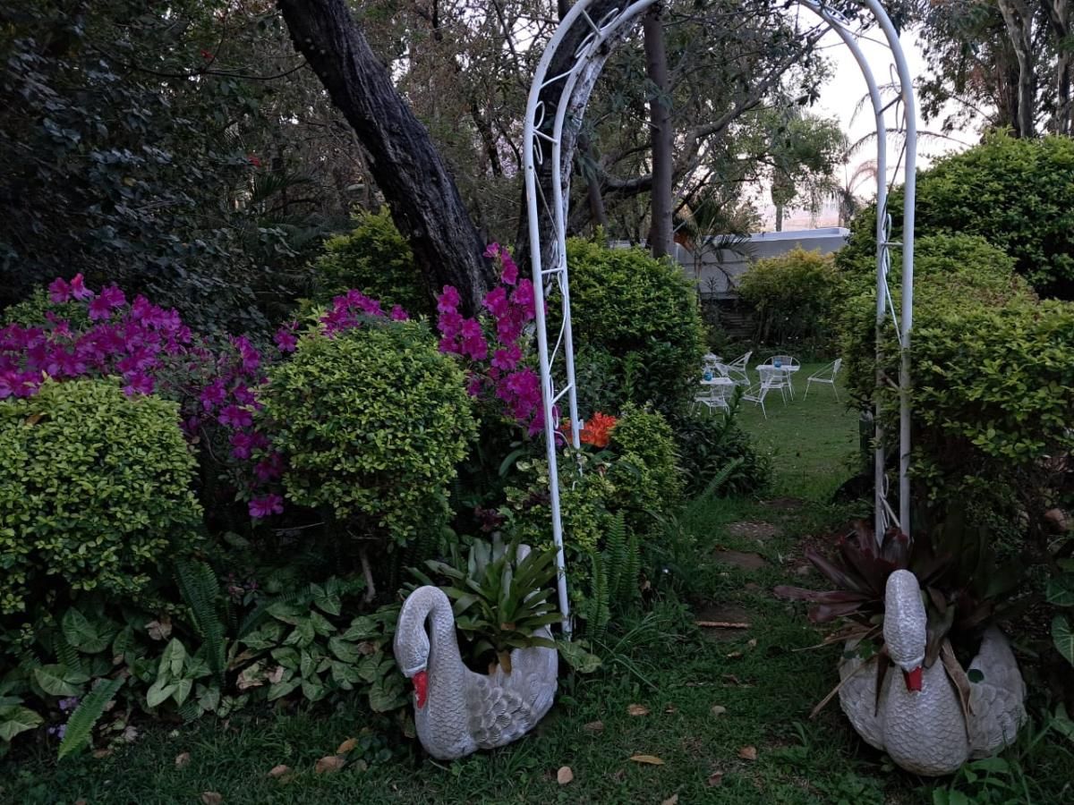 Photo 20 of 25