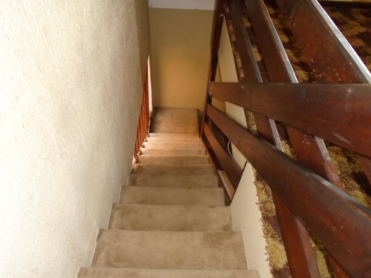 Photo 14 of 27