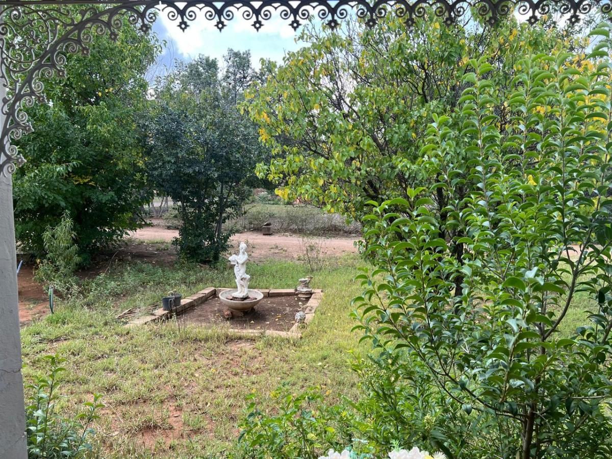Photo 11 of 19