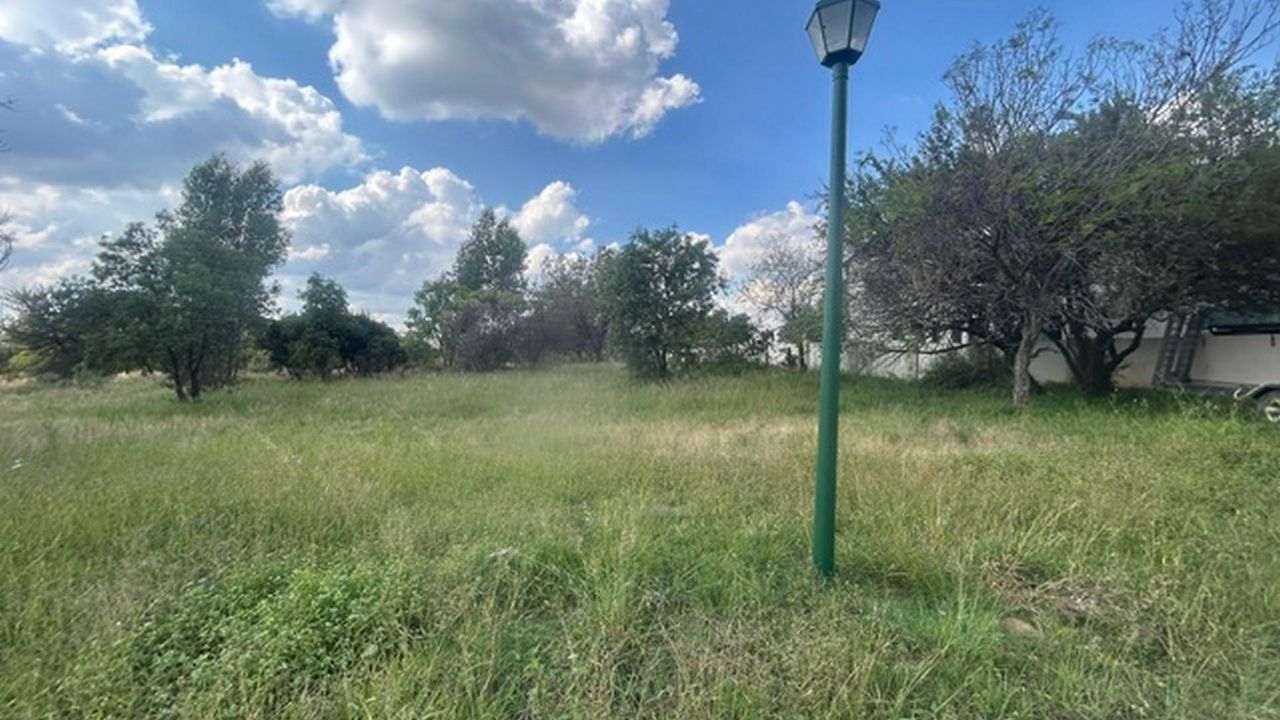 Photo 12 of 15
