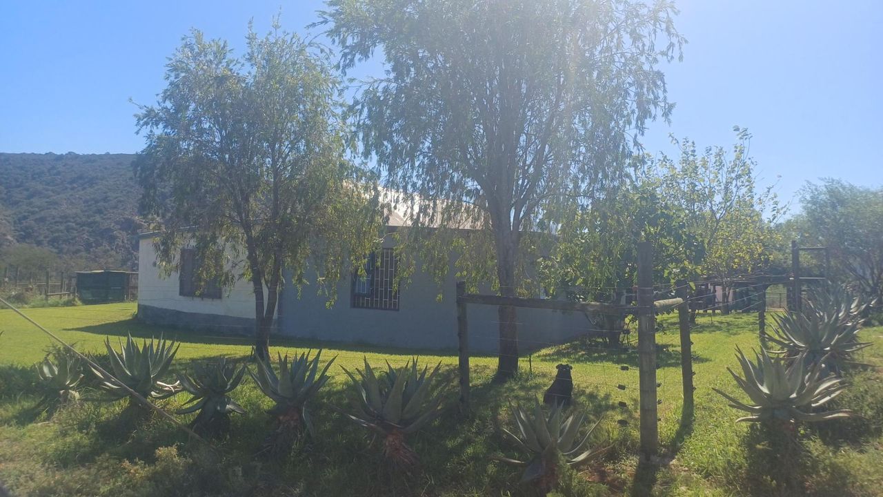 Photo 28 of 29