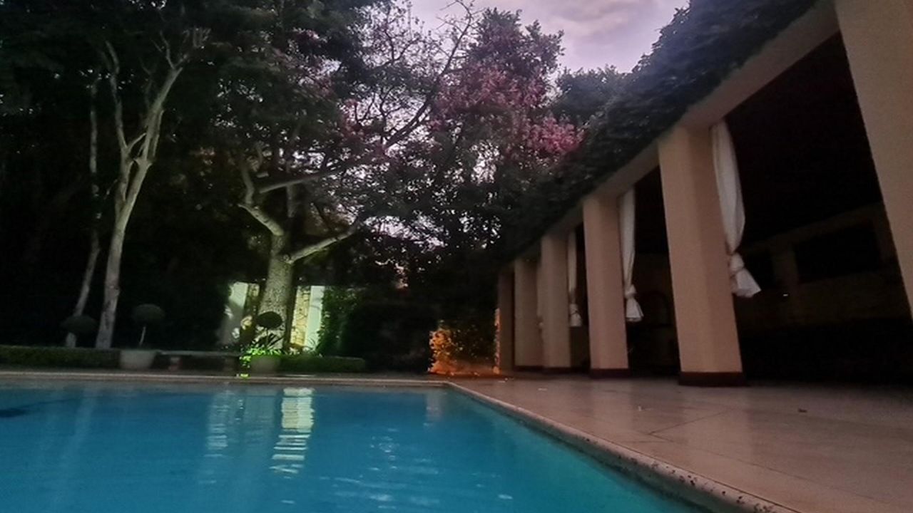 Photo 12 of 51