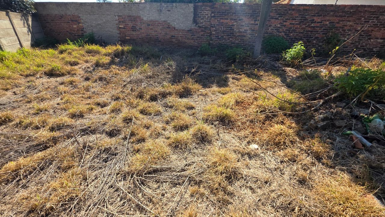 Photo 8 of 12