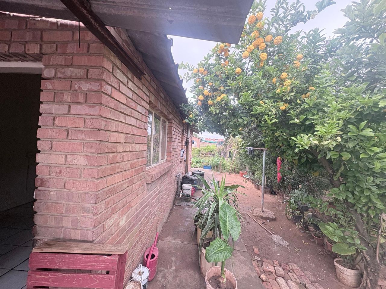 Photo 5 of 20